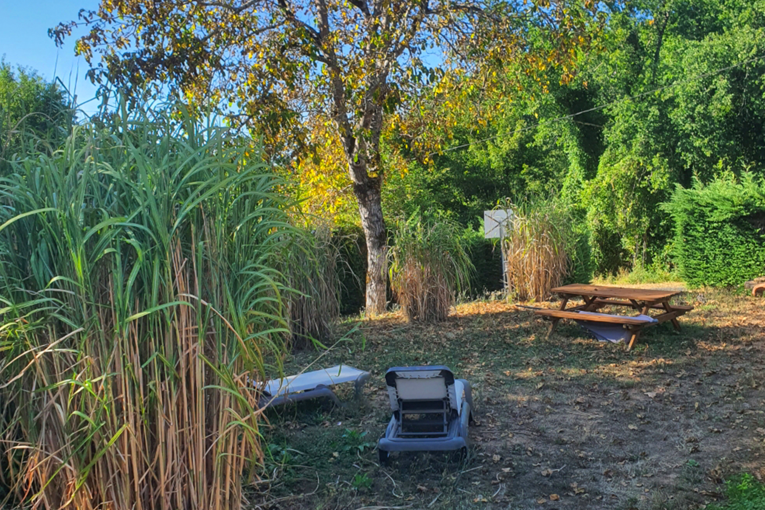 Un coin de nature aux gîtes Les oies du perigord noir